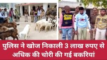 झाँसी: बकरी चोर गिरोह के तीन सदस्य गिरफ्तार, कब्जें से चोरी की बकरियां बरामद