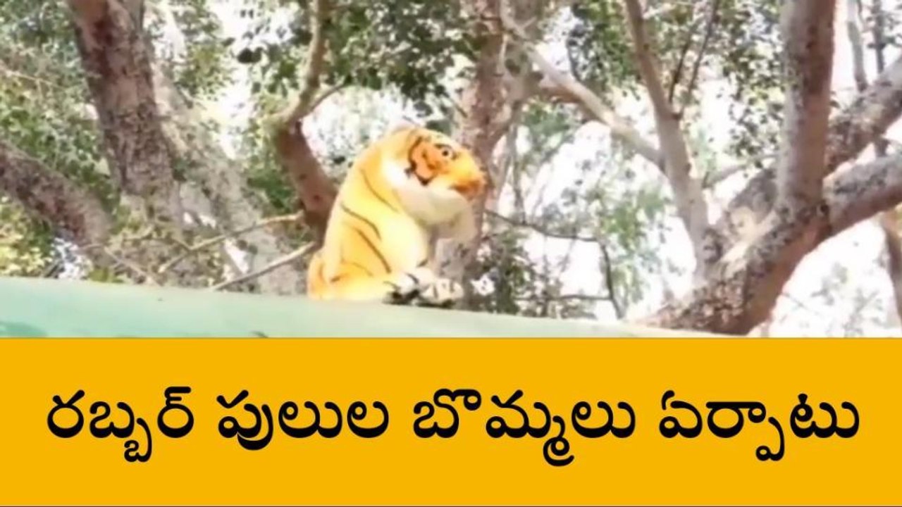 మీ ఆలోచన అదుర్స్.. పరారైన కోతులు..!