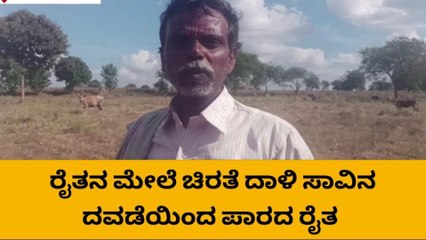 ಚಿತ್ರದುರ್ಗ: ‘ನನ್ನ ಹಿಂದೇನೇ ಚಿರತೆ ಇತ್ತು!’; ರೈತರ ಪ್ರತ್ಯಕ್ಷಾನುಭವ