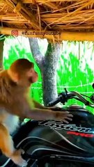 The bakwas tag, The bakwas motivational, The motivational video, Comedy video, Funny jokes video, Song, American comedy, Indian comedy, Comedy, Facebook statusWhatsApp WhatsApp, , All status Instagram status, Bhakti song, Comedian song, New musical song c