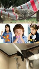 ekspresi anak kecil melihat kucing jatuh!!!