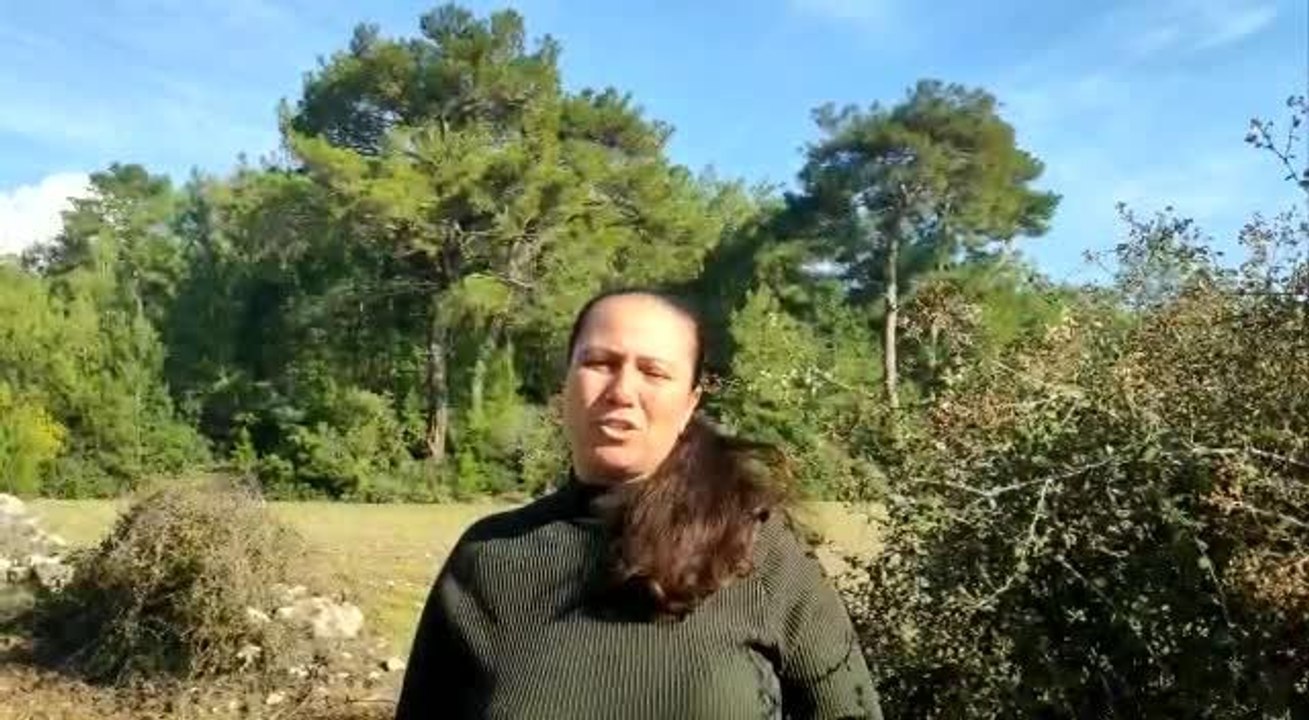 Muğla'da Akbelen Ormanı Davasında 'Yürütmeyi Durdurma' Kararı Kaldırıldı, Çevreciler Tepkili: "Bu Baskılar Bizi Yıldıramaz"