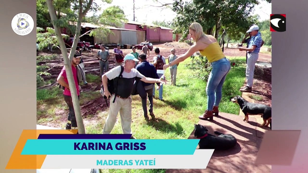 3 Miradas Programa completo numero 33