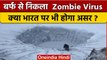 Zombie Virus: जानिए क्या है बर्फ से निकला Zombie Virus, भारत पर भी होगा असर?| वनइंडिया हिंदी |*News