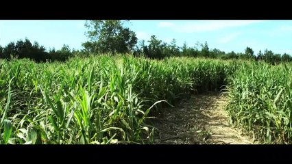A Long Way Off Bande-annonce (DE)