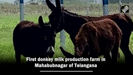 First Donkey milk production farm opened in Mahabubnagar of Telangana