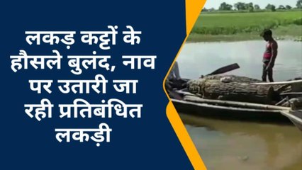 लखीमपुर खीरी: धौरहरा वनरेंज क्षेत्र में धड़ल्ले से हो रहा प्रतिबंधित पेड़ों का कटान,नाव के जरिये हो रही तस्करी