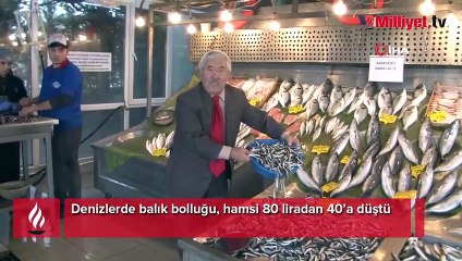 Denizlerde balık bolluğu, hamsi 80 liradan 40’a düştü