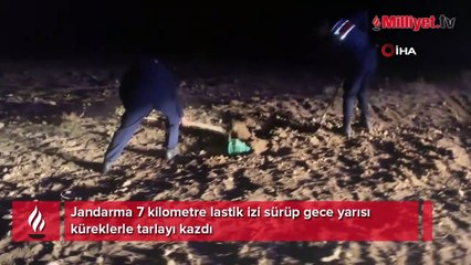 Jandarma 7 kilometre lastik izi sürdü! Gece yarısı küreklerle tarlayı kazdı