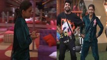 Bigg Boss 16 ; Sumbul को सुबह सुबह क्यों आया गुस्सा और फिर किया Shiv के साथ डांस ? फैंस हैरान |*TV