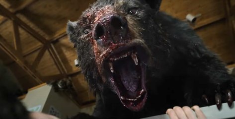Cocaïne Bear : bande-annonce du film avec un ours défoncé (VOST)