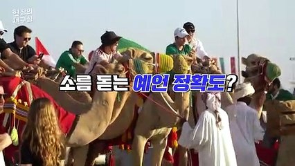 [현장의재구성] 이번엔 '점쟁이 낙타'다…소름돋는 거꾸로(?) 예지력