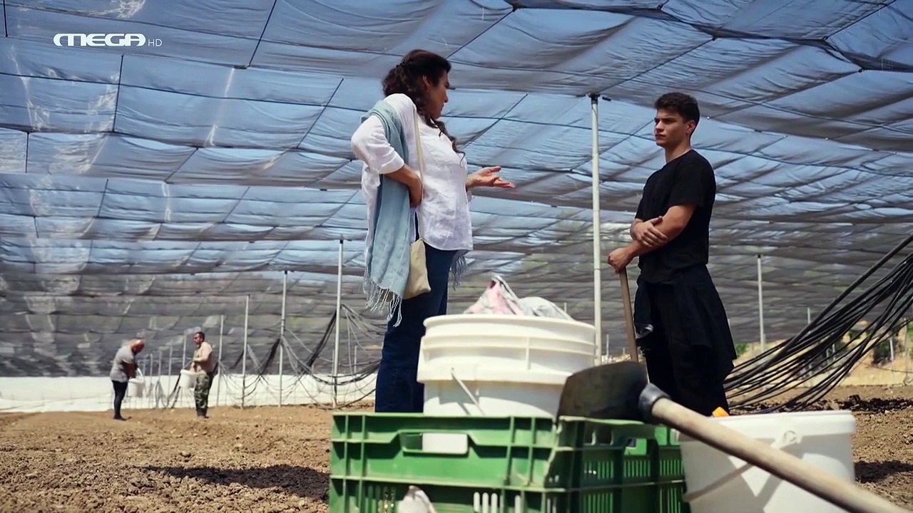 Η Γη Της Ελιάς (Σ2) - Επεισόδιο 30 (HD)