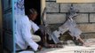 Kenyan student builds military robotic dog with local materials