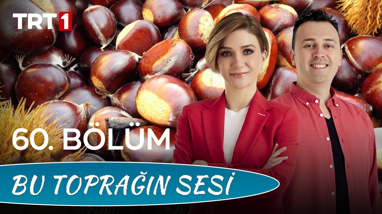 Bu Toprağın Sesi 60. Bölüm - Aydın'da Kestane Tarımı