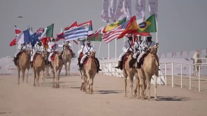 بالتزامن مع مونديال الدوحة.. انطلاق مسابقة مزاين الإبل