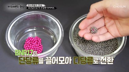 당 흡수를 막고 채외 배출시키는데 탁월한 유산균 등장 TV CHOSUN 20221201 방송