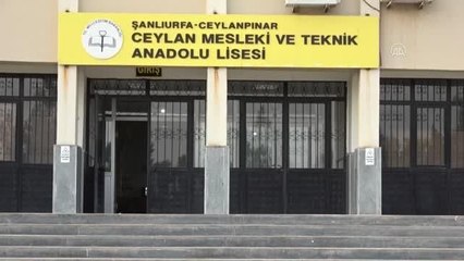 ŞANLIURFA - Meslek lisesi öğrencileri zeytinyağı üretimi için çalışıyor