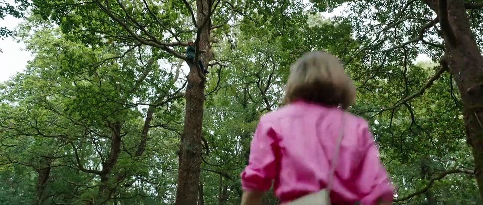 Oso vicioso Tráiler