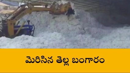 హుజురాబాద్: మెరిసిన తెల్ల బంగారం.. మురిసిన రైతన్న