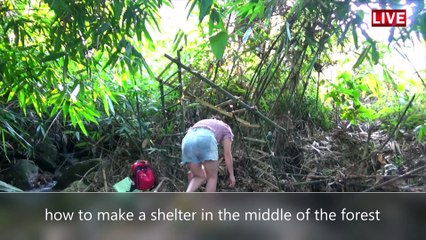 how to make a shelter in the middle of the forest