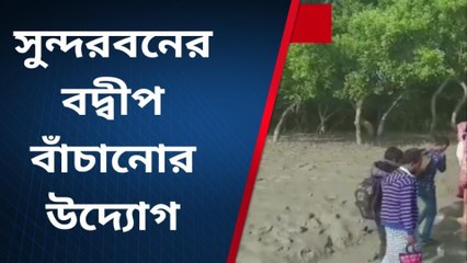 কলকাতা: সুন্দরবন বাঁচাতে রাজ্যের পরিকল্পনা কী, জানালেন মানস