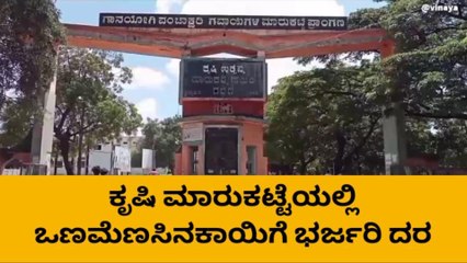 ಗದಗ: ಕೃಷಿ ಮಾರುಕಟ್ಟೆಯಲ್ಲಿ ಒಣಮೆಣಸಿನಕಾಯಿಗೆ ಉತ್ತಮ ದರ