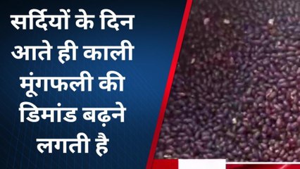 राजस्थान की बादाम काली मूंगफली, एक बार खाएंगे तो खाते ही रह जाएंगे...देखिए रेसिपी !