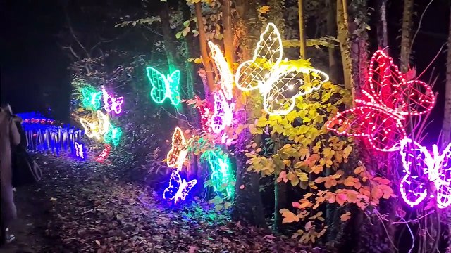 Cowdray Christmas Lights in the heart of West Sussex