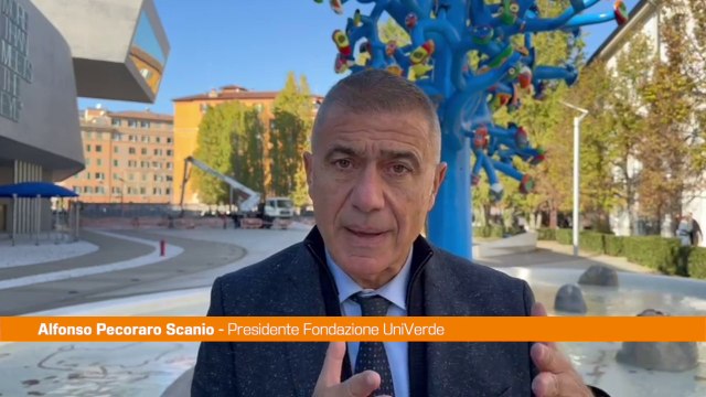 Pecoraro Scanio Onorare vittime Ischia con raddoppio fondi dissesto