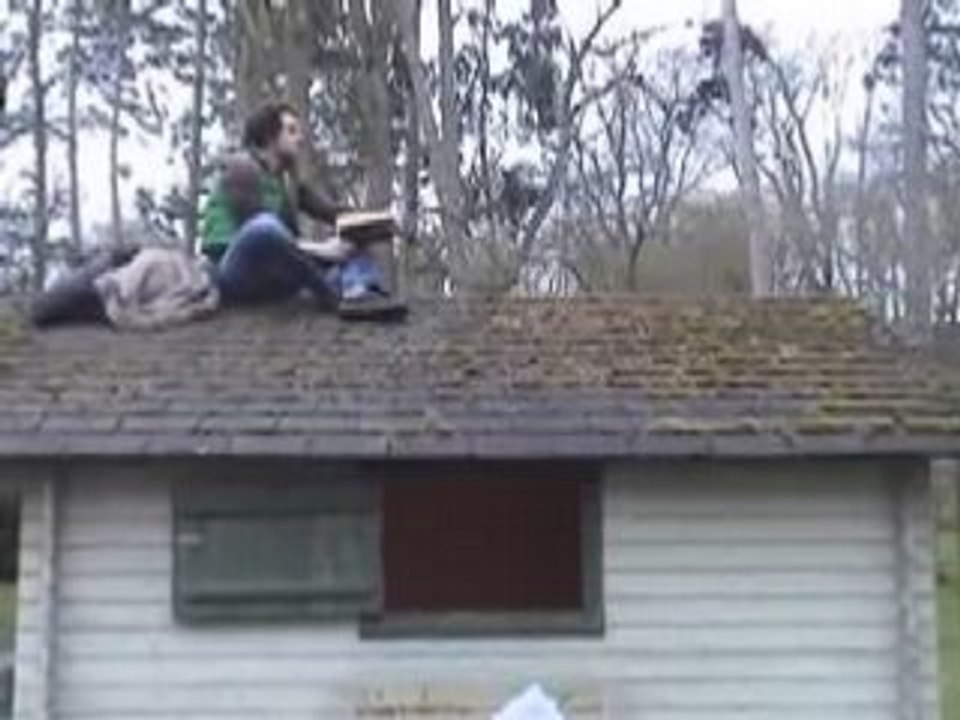 Into The Wild Sweded