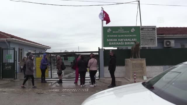 Edirne'de kedilerin ölü bulunmasına hayvanseverler tepki gösterdi