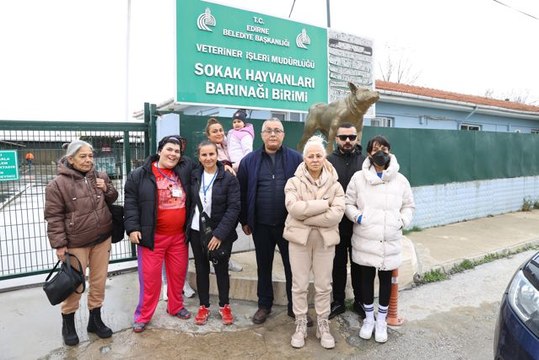 Edirne'de kedilerin ölü bulunmasına hayvanseverler tepki gösterdi