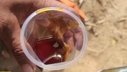 পশ্চিম মেদিনীপুর: আপনার পাতে খেজুর গুড় কারা পৌঁছে দিচ্ছেন জানেন?