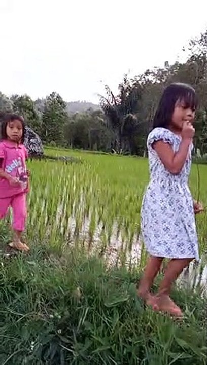 RICE FIELD