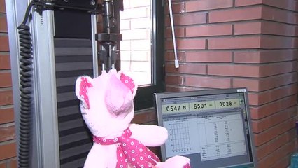 En este laboratorio de Galicia vigilan que los juguetes que se comercializan sean seguros