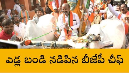 ఎడ్లబండి ఎక్కి సందడి చేసిన బండి సంజయ్