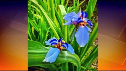 Morning Edition: 1st December 2022