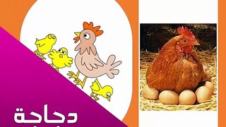 تعليم الاطفال النطق باللغة العربية تدريب علي النطق بالصوت والصورة