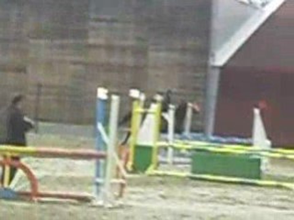 Concour Obernai 16Mars08Katania club2