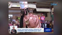 Goat fashion show, idinaos sa Farmers and Fisherfolks' Day | Saksi