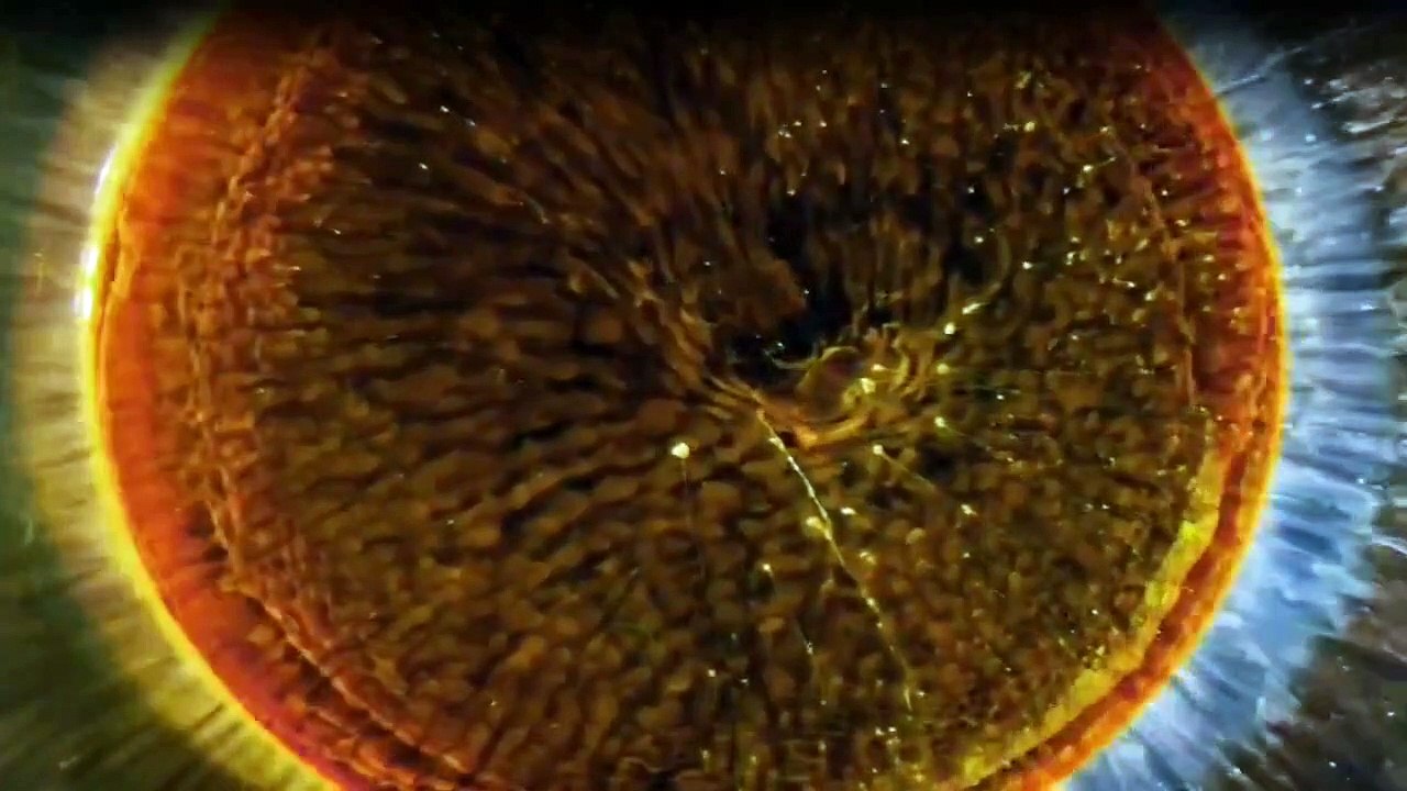 One Strange Rock Staffel 1 Folge 6 HD Deutsch