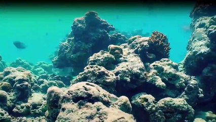 One Strange Rock Staffel 1 Folge 8 HD Deutsch