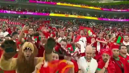 Canada vs Maroc.  2022  1-2 _ All Goals _ Extended Highlights _  2022