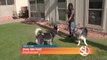 Tired of stinky synthetic grass smell from your pets? Dirty Turf offers unique cleaning process to eliminate 100% of pet odors