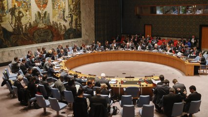 ما آلية اللجوء إلى المحاكم المتخصصة؟