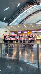 Aficionados buscan regresar a México, tras la derrota