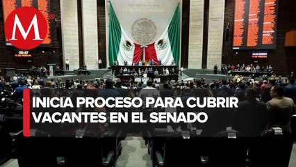 Proceso electoral para elegir vacante en el Senado arranca a finales de este año: INE