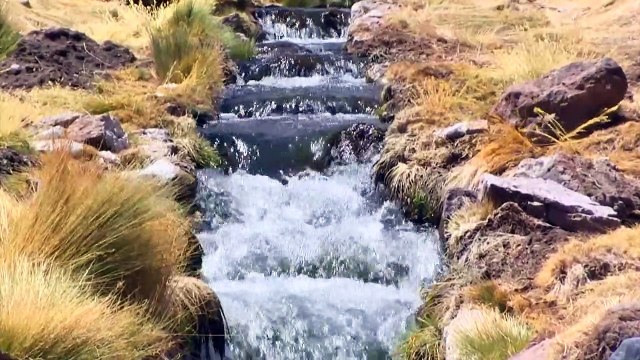 Acuerdo entre Bolivia y Chile cierra diferendo ante la CIJ sobre el río Silala