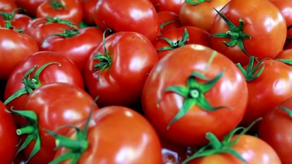 ΓΕΩΡΓΙΑ - ΚΤΗΝΟΤΡΟΦΙΑ - ΑΛΙΕΙΑ - ΠΑΡΑΓΩΓΑ. ΠΡΟΓΡΑΜΜΑΤΙΚΕΣ ΔΗΛΩΣΕΙΣ ΤΗΣ ΕΛΛΗΝΩΝ ΠΟΛΙΤΕΙΑΣ_2022 12 01_04 14 27_1_172